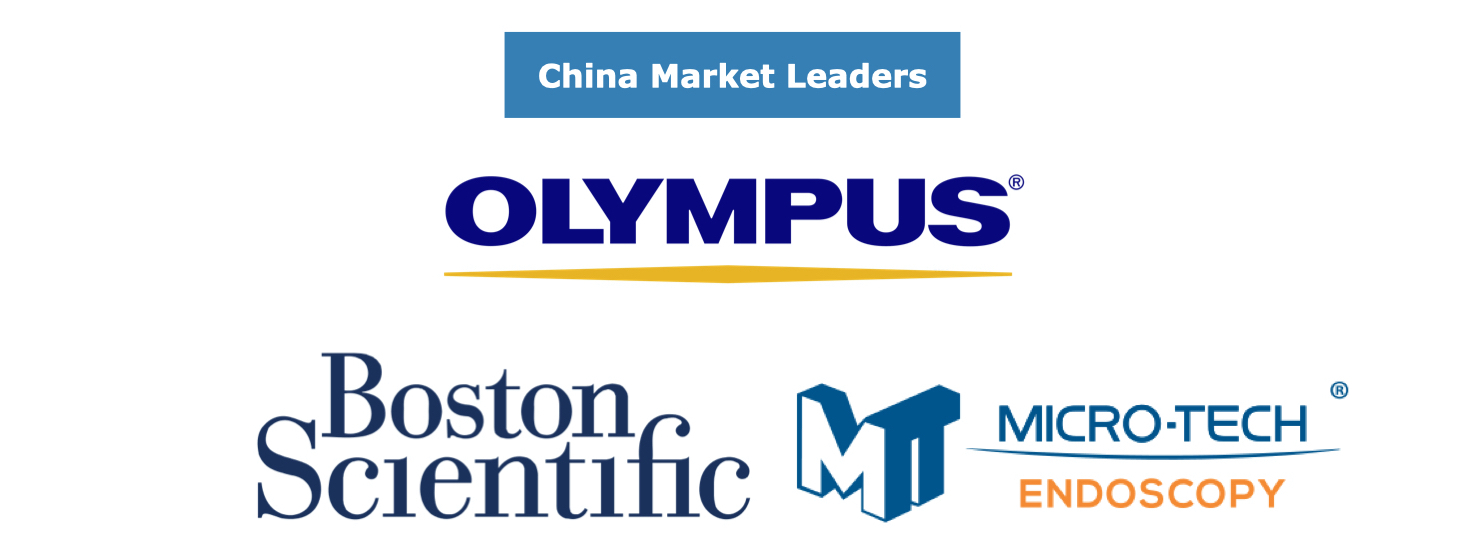 Chinese Gastrointestinal Endoscopy Device Market Leaders