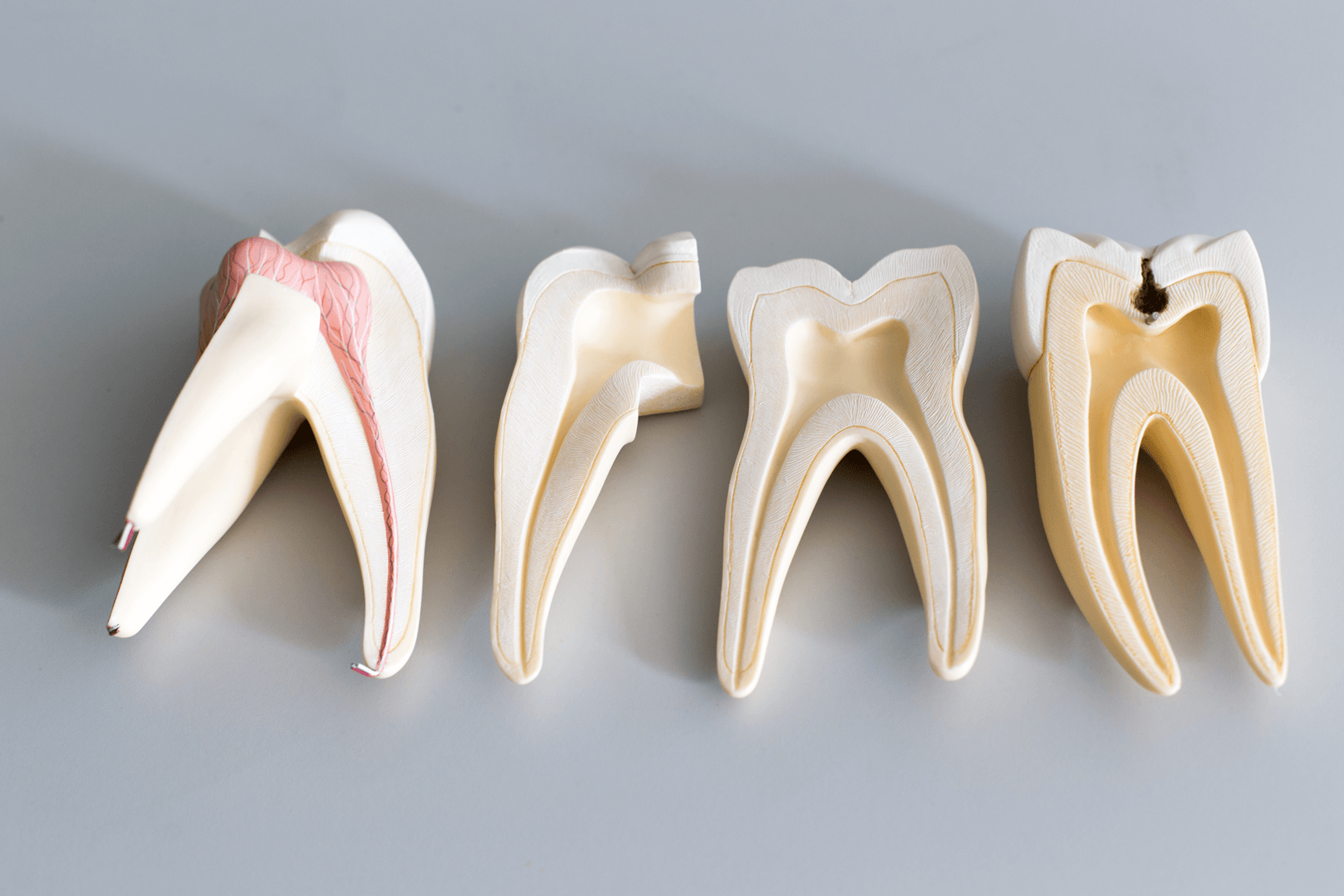 Biomaterial Could Promote Living Dental Pulp After Root ...