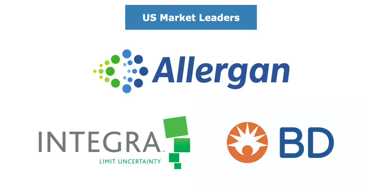 Global Vascular Access Market Leaders