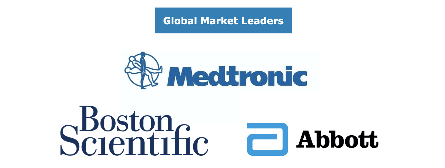 Global Peripheral Vascular Market Leading Competitors