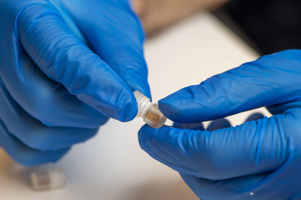 Once swallowed, this capsule is designed to collect bacteria throughout the gut. A scientist unscrews the cap to retrieve the sample after the capsule has left the digestive system. 