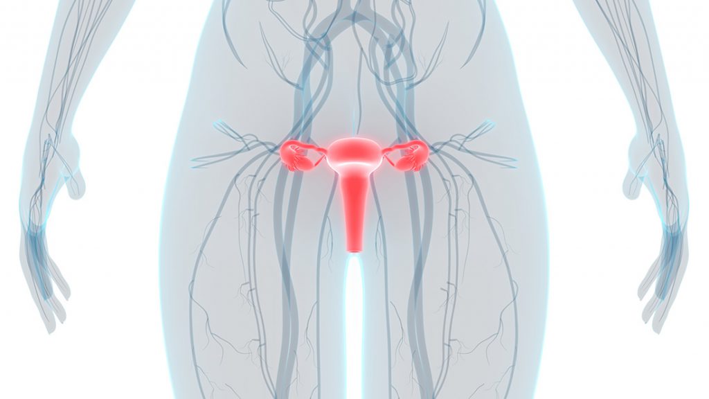 A nationwide study was performed in Turkey which analyzed the infection rate of women going through gynecologic cancer surgeries during the global COVID19 pandemic to determine if it is safe to continue with such procedures
